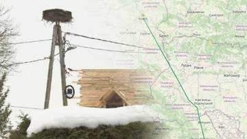 Gniazdo bociana na słupie energetycznym, zimowy krajobraz, mapa z zaznaczoną trasą.