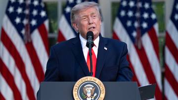 Donald Trump grozi państwom UE. 100 proc. cła za nowy podatek