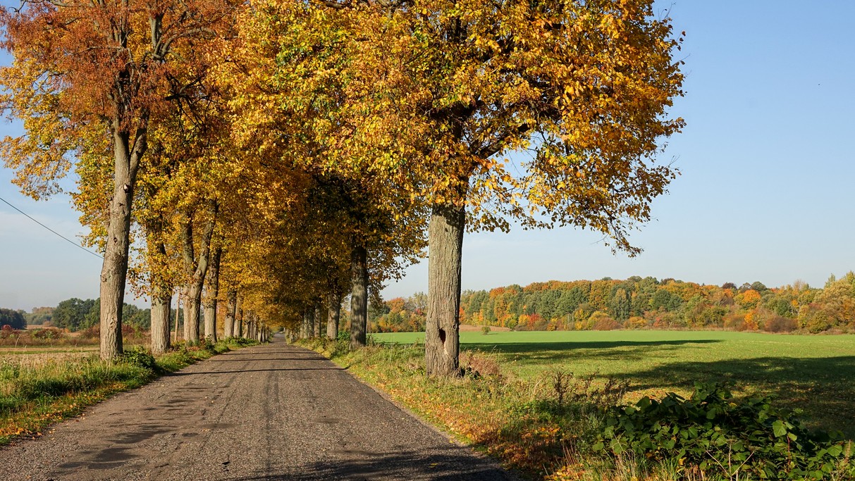 Barwy jesieni - zdjęcie 26