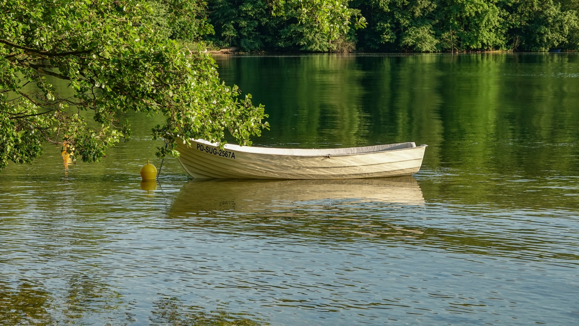 Letnie klimaty na łonie natury - zdjęcie 31