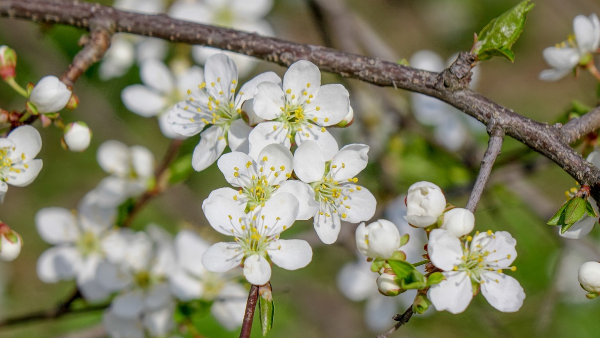 Kwiecień w obiektywie - zdjęcie 22