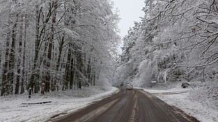 24.12.2020 09:00 Zabieramy Was w podróż do rodzinnego domu na Święta przez przepiękną krainę śniegu