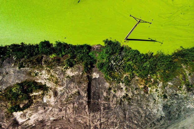 Porośnięty staw na Śląsku. Niesamowite zdjęcia z lotu ptaka