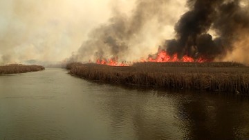 Pożar w Biebrzańskim Parku Narodowym. "Sytuacja jest poważna, ale opanujemy ten żywioł"