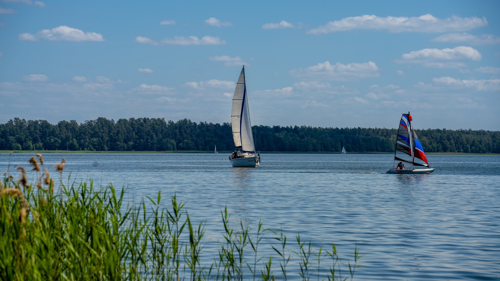 Kolory lata - zdjęcie 4