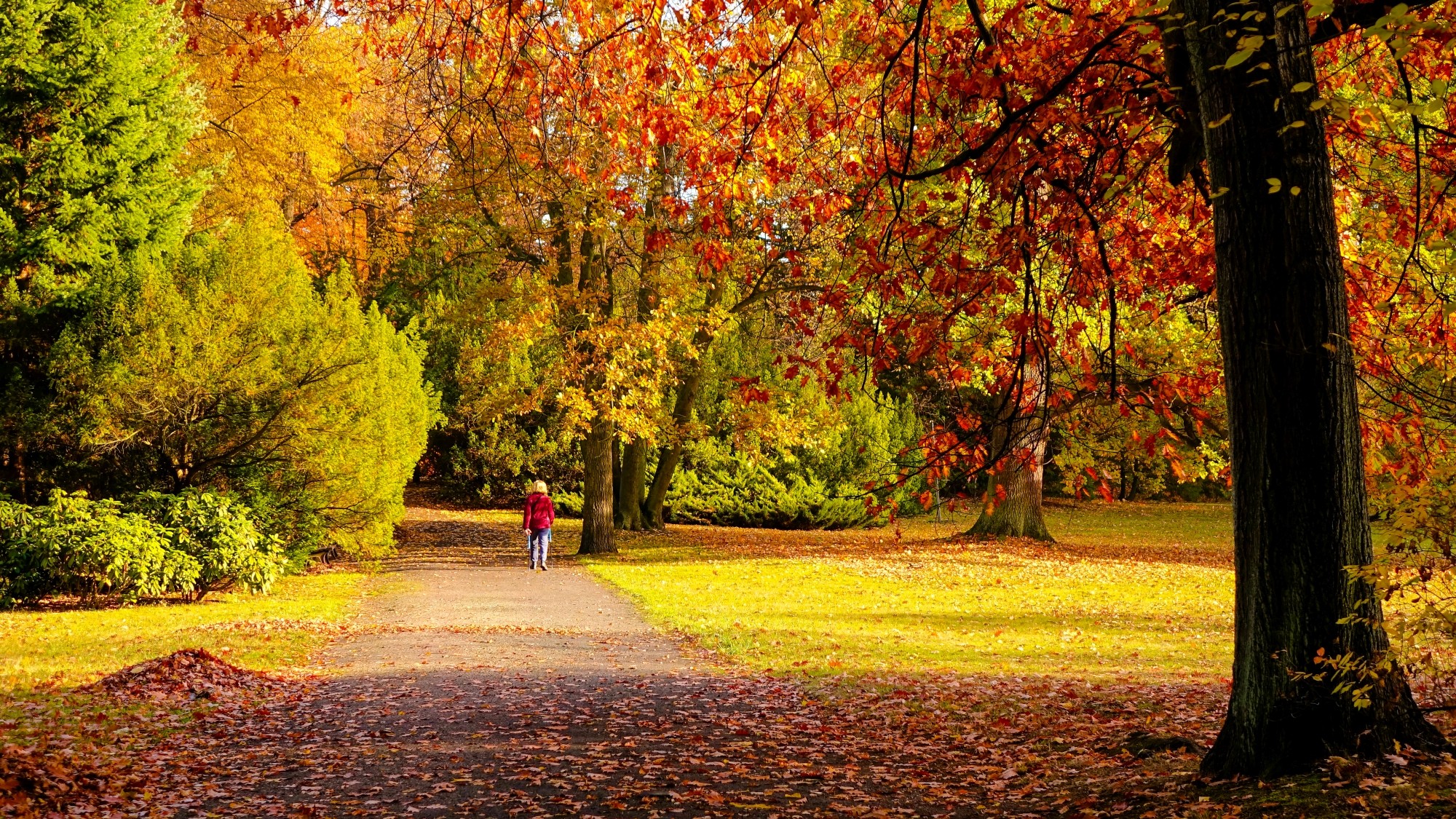 Kraina jesieni - zdjęcie 27