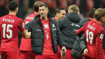 Koniec meczu Polska - Holandia. Polacy walczyli do końca, sytuacja w grupie niepewna