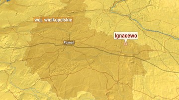Kilkanaście osób rannych w wypadku w Ignacewie. Bus zderzył się czołowo z samochodem osobowym