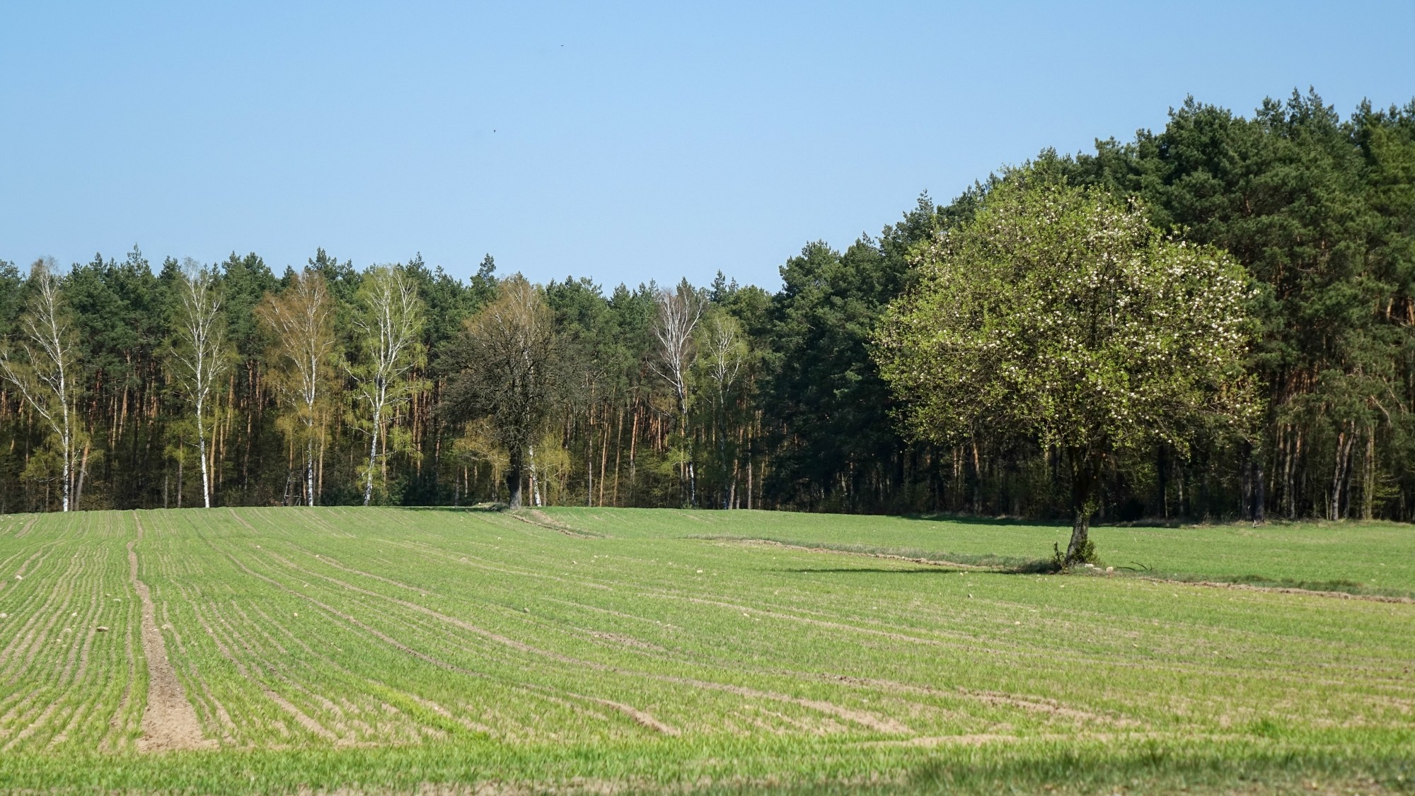 Podróż przez wiosenną Polskę - zdjęcie 31