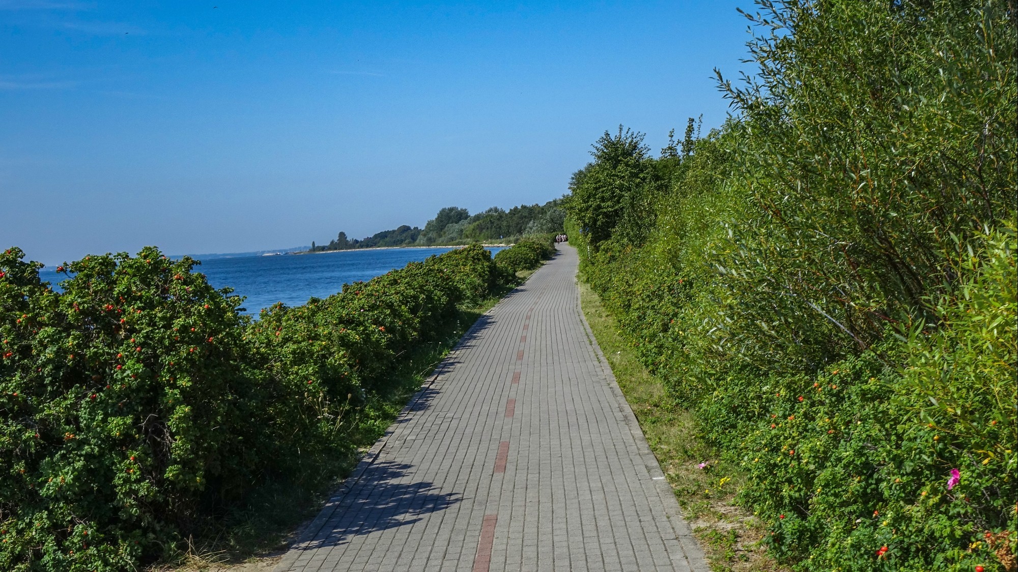 Wakacyjne podróże - zdjęcie 46