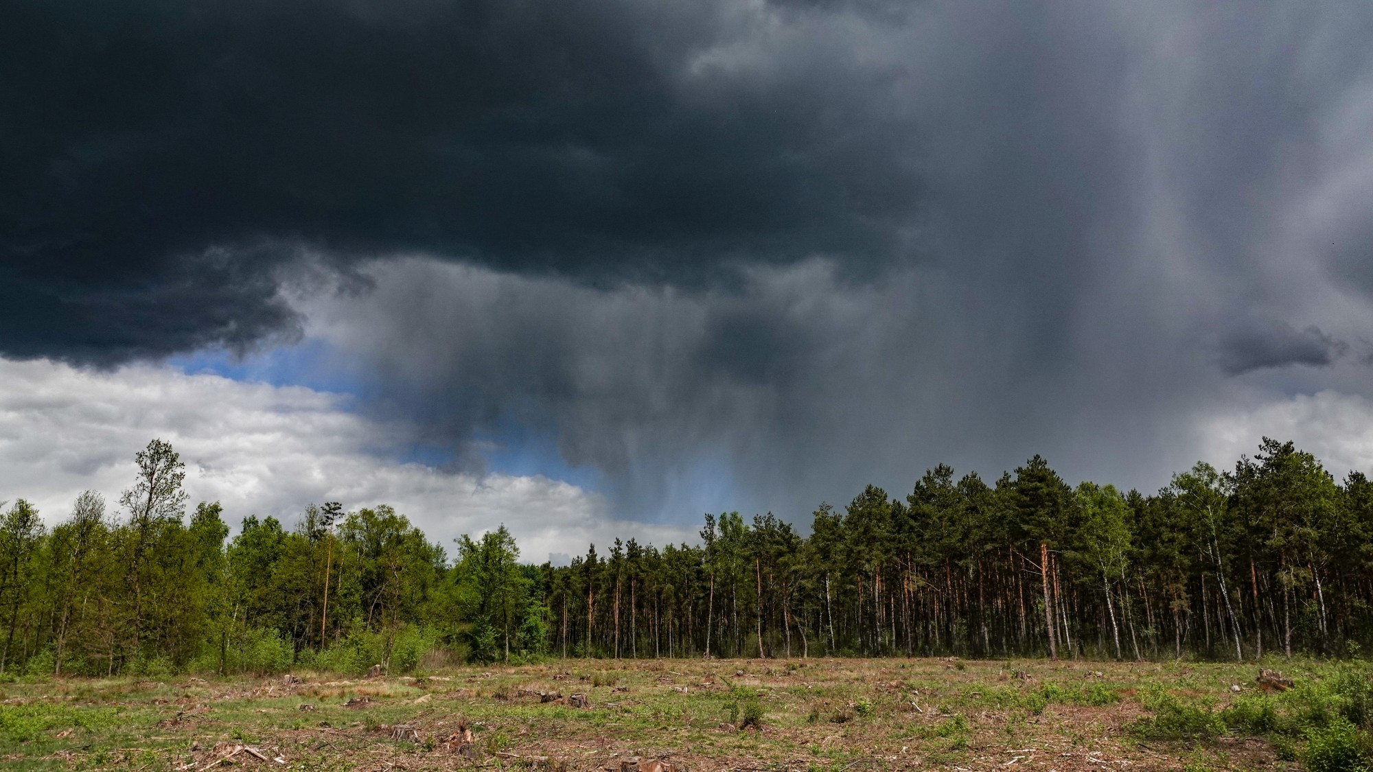 100 najpiękniejszych zdjęć 2020 roku - zdjęcie 7