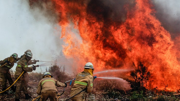 Rząd ogłosił trzydniową żałobę po pożarze w Leirii
