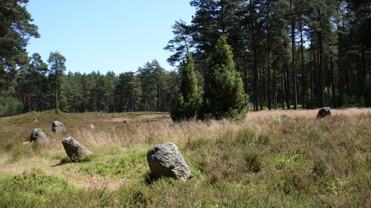 Koszalińscy archeolodzy odkryli kręgi kamienne i kurhany sprzed 2 tys. lat