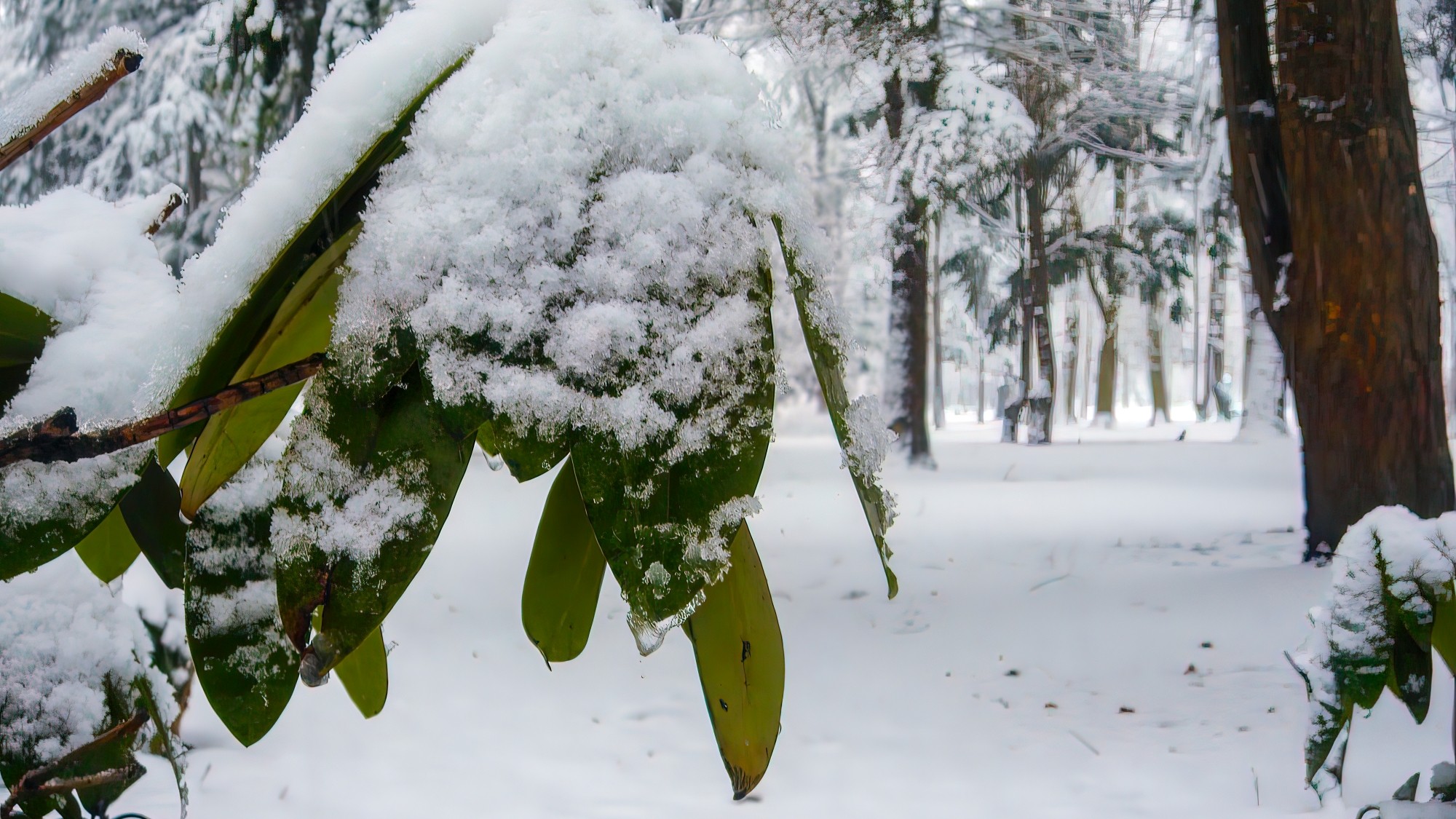 Śnieżne zimy sprzed lat - zdjęcie 21
