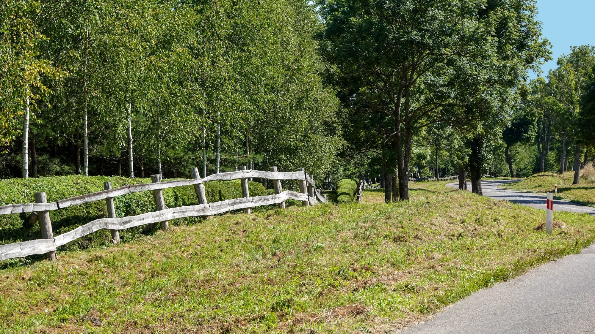 Na pożegnanie lata - zdjęcie 52