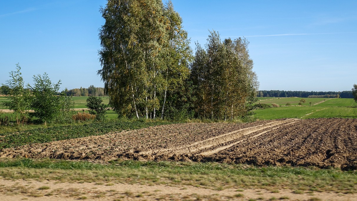 Jesienne krajobrazy za miastem - zdjęcie 38