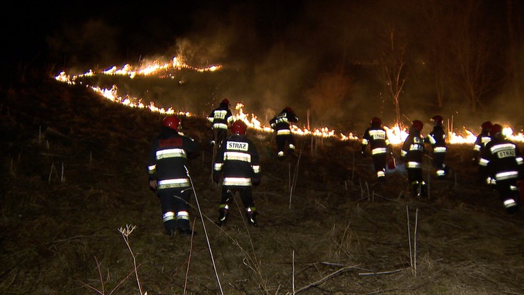 Pożar w Zakopanem. Halny zerwał trakcję energetyczną, zapaliła się łąka