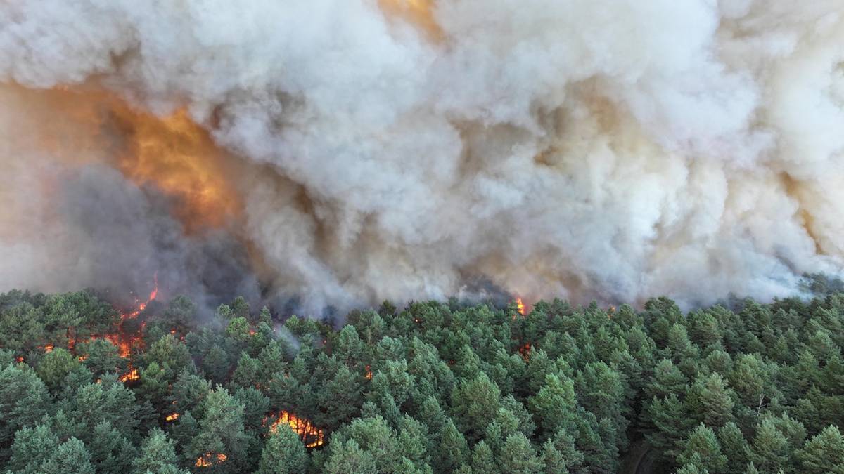 Wielki pożar pod Paryżem. Zatrzymano dwie osoby