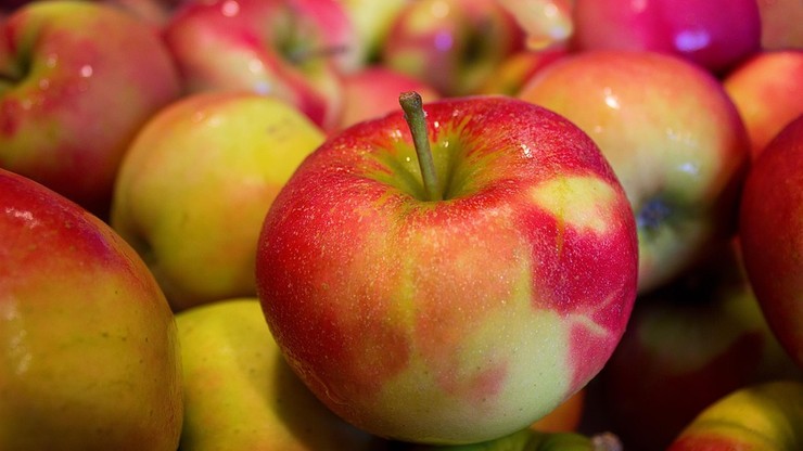 Polskie jabłka w USA. "Sprawa miesięcy, a może nawet tygodni"