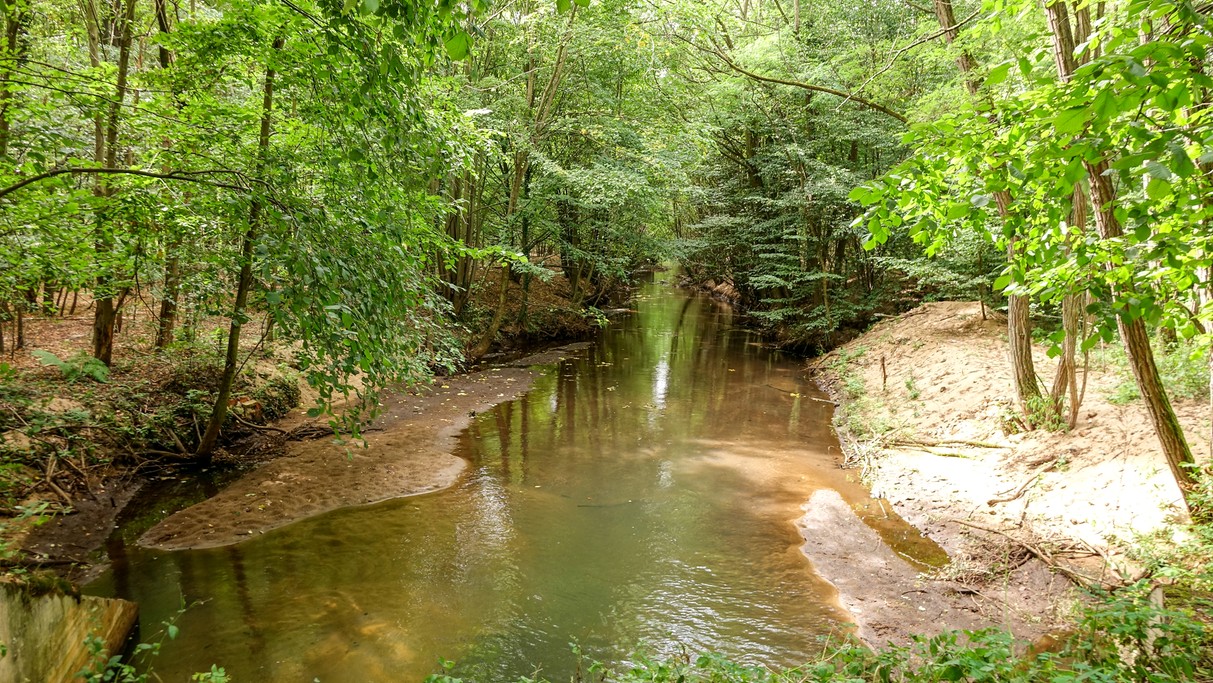 Lipiec w obiektywie - zdjęcie 28