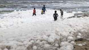 05.12.2019 06:00 Toksyczna piana wypełzła na największą plażę w Indiach. Dzieci jakby nigdy nic się w niej bawiły