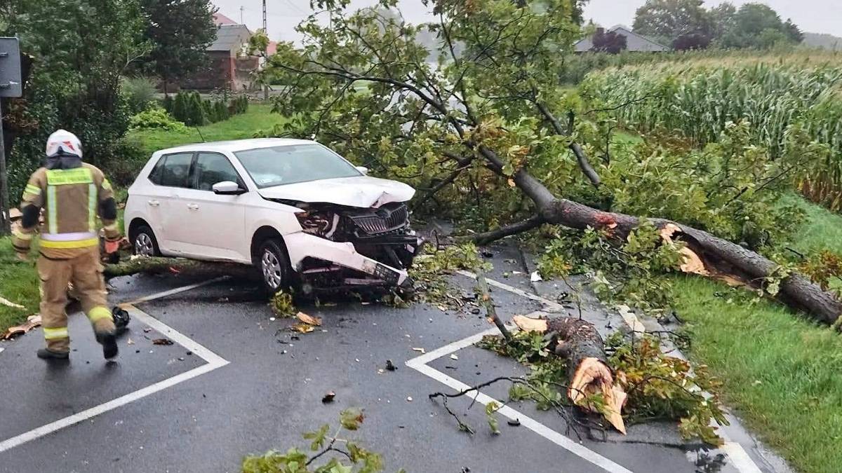 Zacznie się po 15:00. Drzewa spadną na samochody, wyłączą prąd