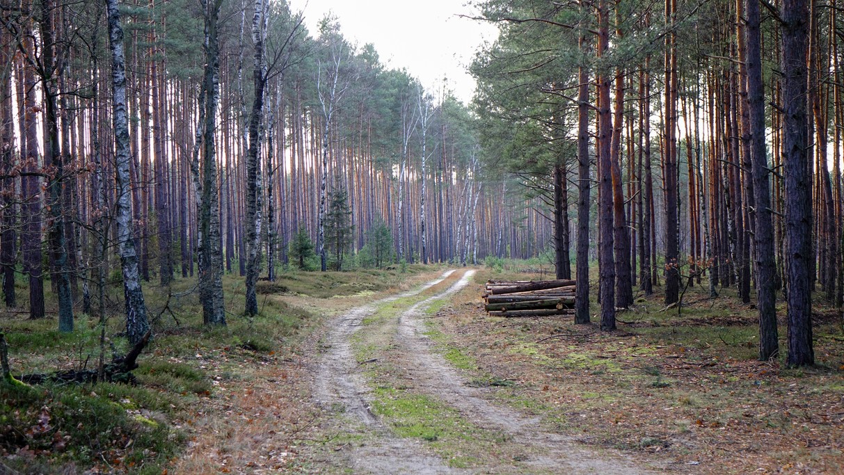 Styczeń w obiektywie - zdjęcie 44