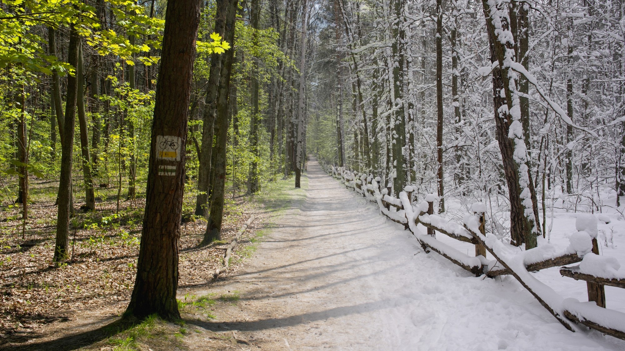 Porównanie wiosny i zimy - zdjęcie 10