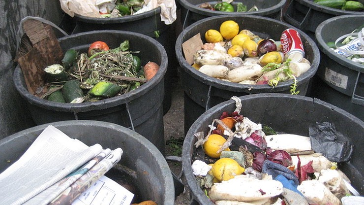Ponad 900 milionów ton żywności na śmietniku. Marnuje się co trzeci produkt