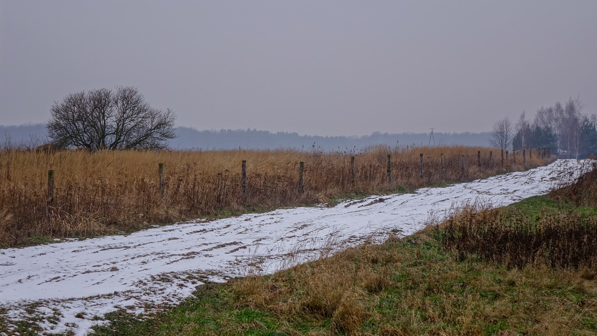Styczeń w obiektywie - zdjęcie 39