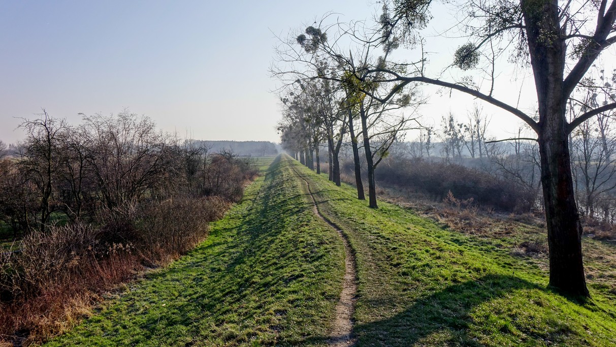 Styczeń w obiektywie - zdjęcie 10