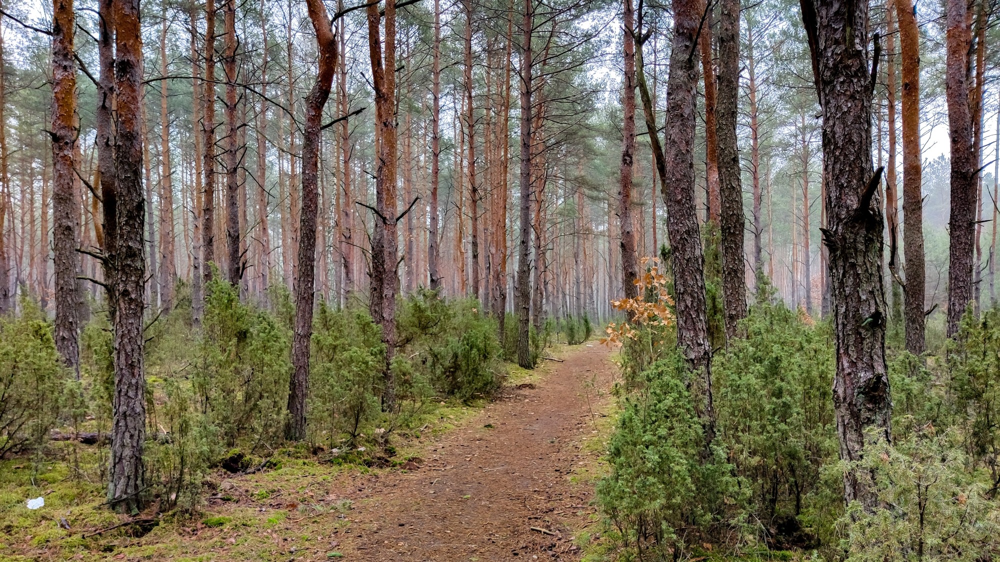 Najcieplejsza zima w historii - zdjęcie 12