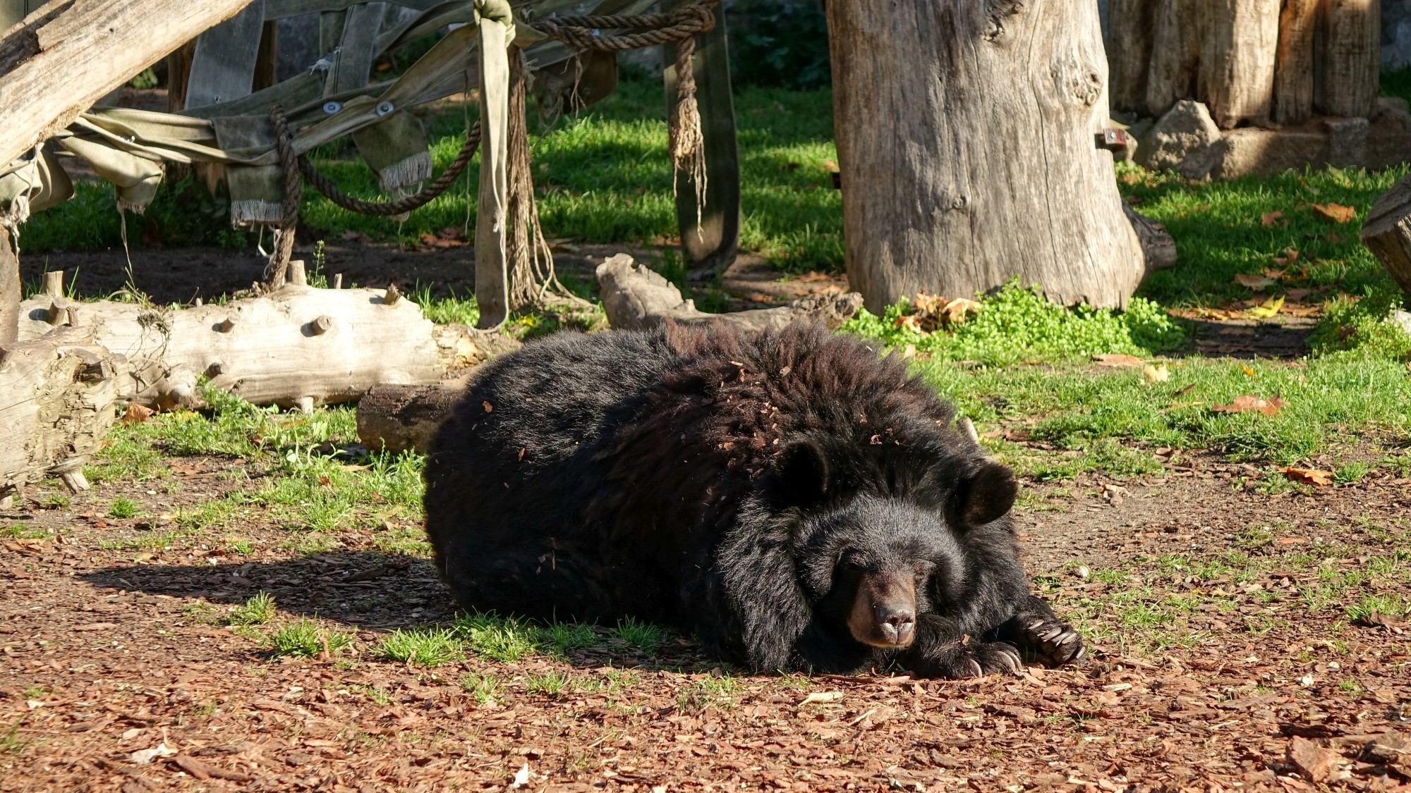 Z kamerą wśród zwierząt - zdjęcie 27