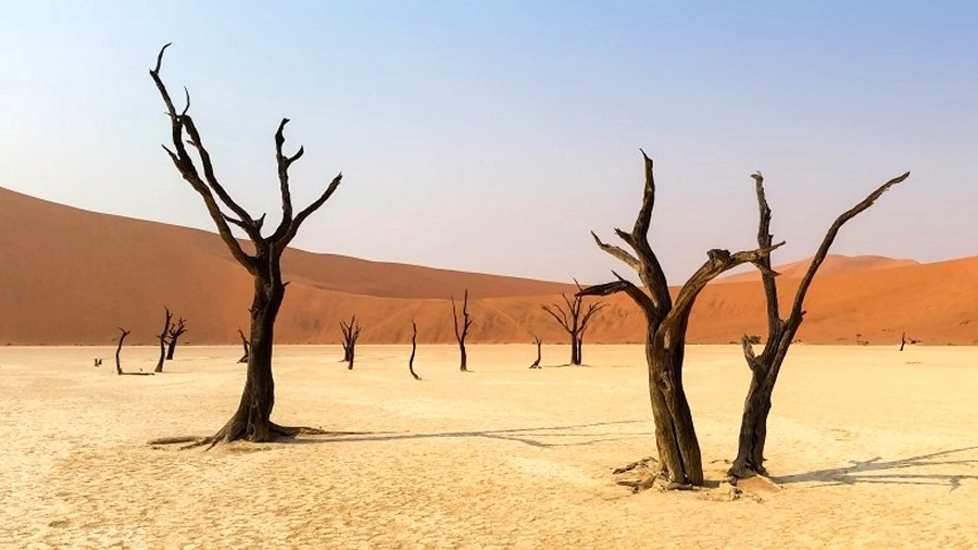 Sahara. Fot. Pixabay.