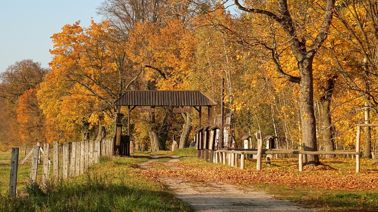 Podróż przez jesienną Polskę - zdjęcie 1