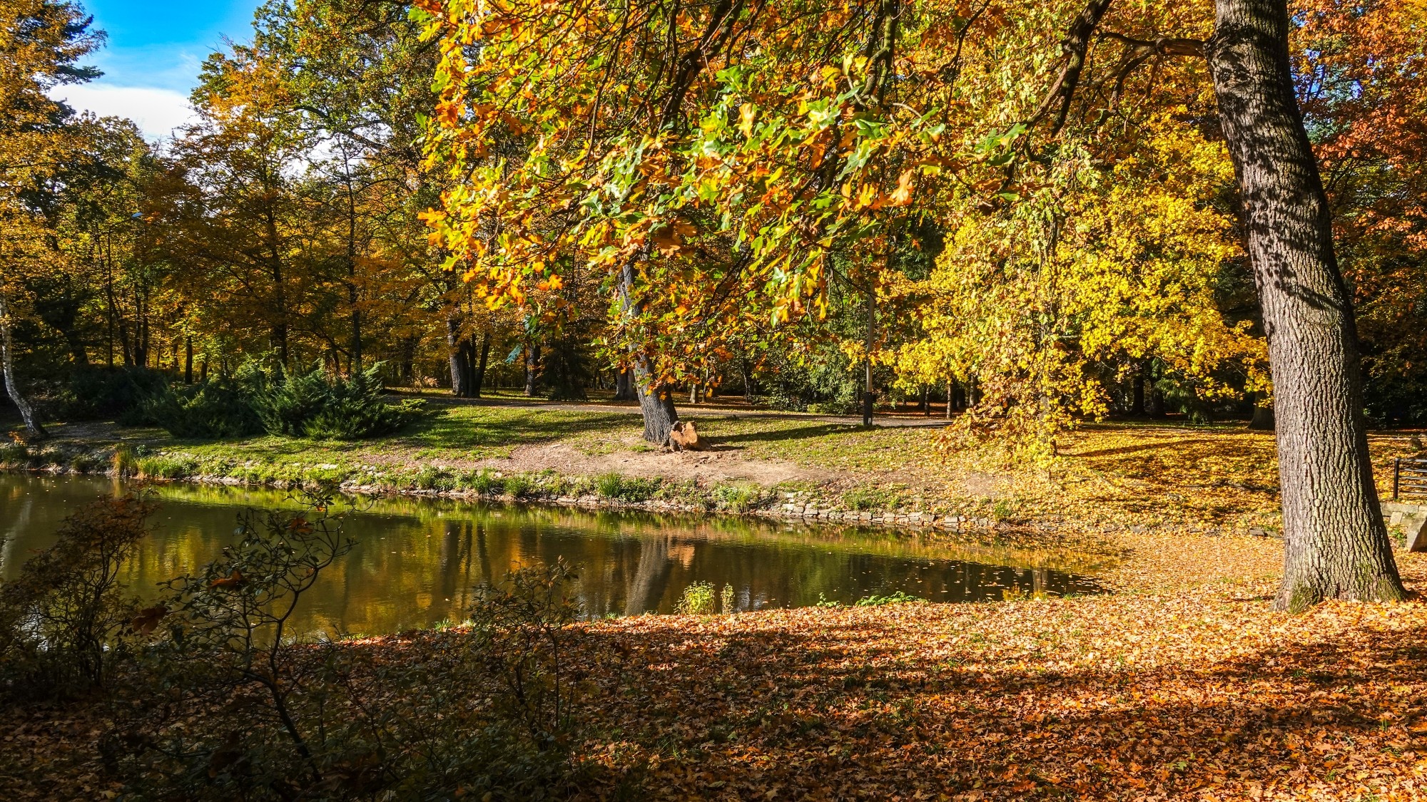 Wszystkie barwy jesieni - zdjęcie 9