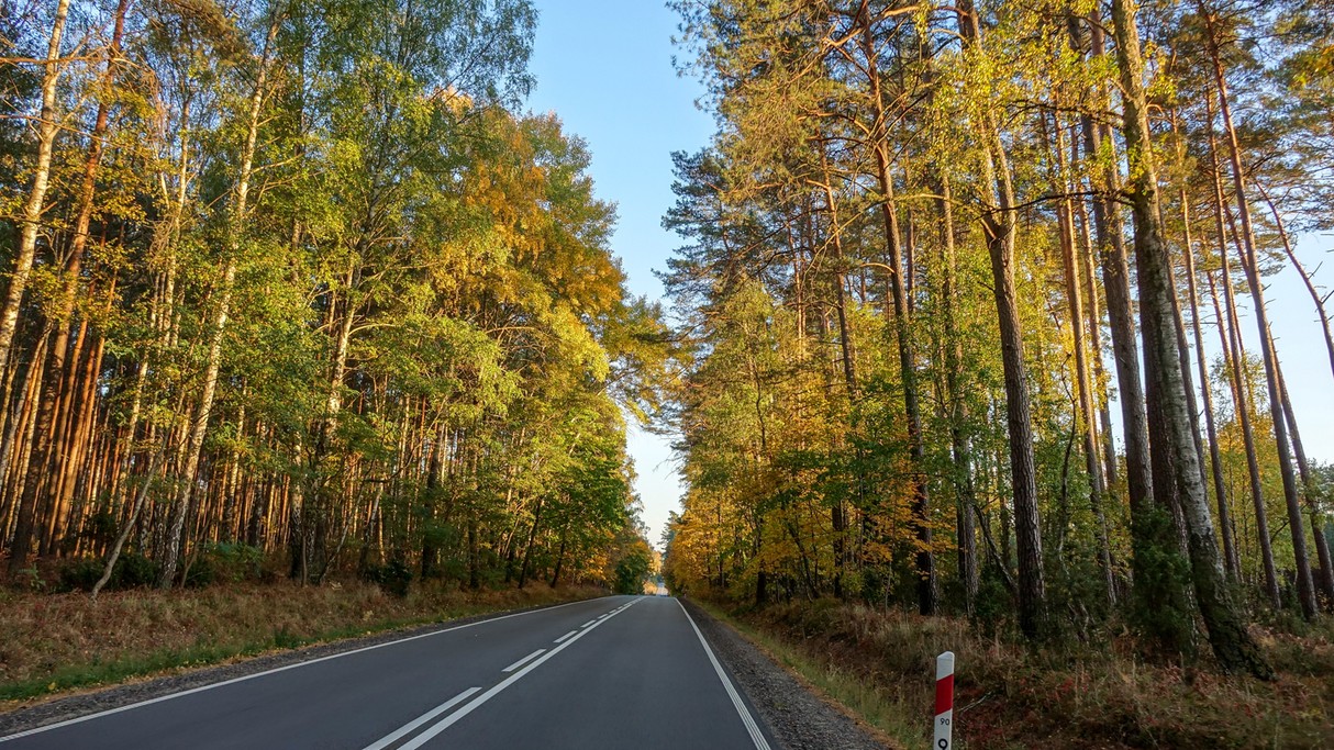 Podróż przez jesienną Polskę - zdjęcie 56