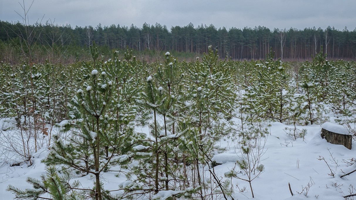 Styczeń w obiektywie - zdjęcie 45