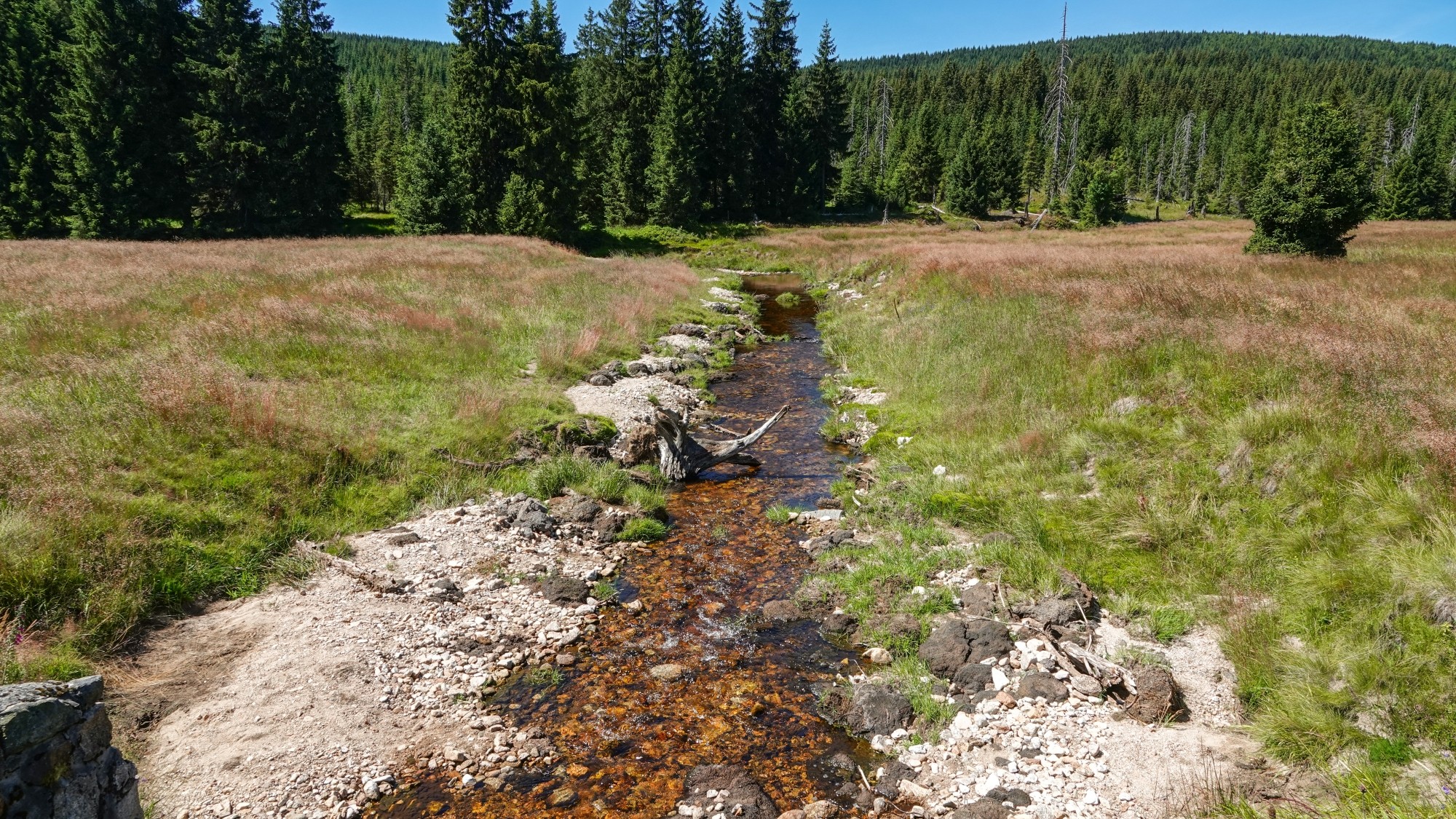 100 najpiękniejszych zdjęć 2020 roku - zdjęcie 57