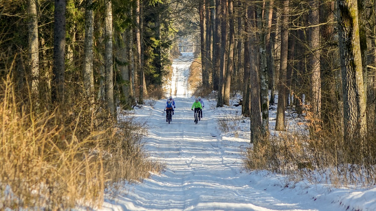 Minione zimy w Polsce - zdjęcie 39