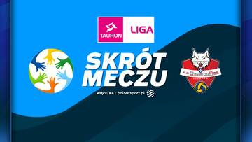 Grafika z napisem "Skrót meczu" i logotypami Tauron Ligi, Eco Harpoon LOS Nowy Dwór oraz Developres Rzeszów. Widoczny okrągły symbol z dłońmi oraz herb drużyny z wilkiem.