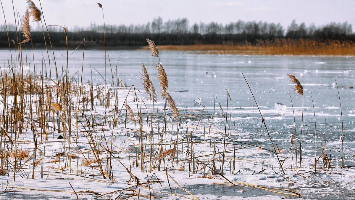 Powiedzieć, że pogoda 13 stycznia będzie zła, to za mało. Powieje mrozem