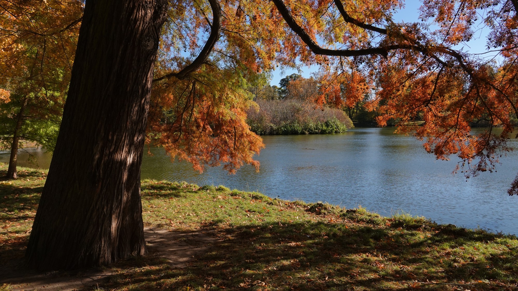 Jesienne klimaty - zdjęcie 12