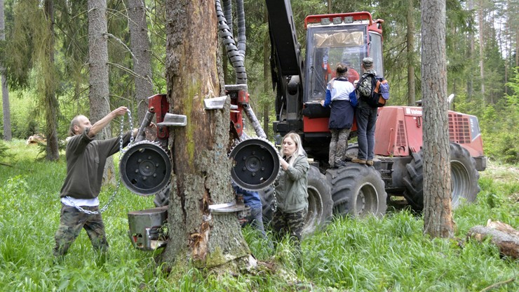 "Zarzuty Lasów Państwowych to nadużycie prawa" - orzekł Sąd Rejonowy w Białymstoku