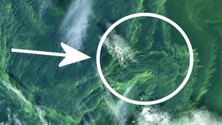 27-07-2025 05:58 Zamykają kolejne plaże. Satelita wykrył groźne zjawisko