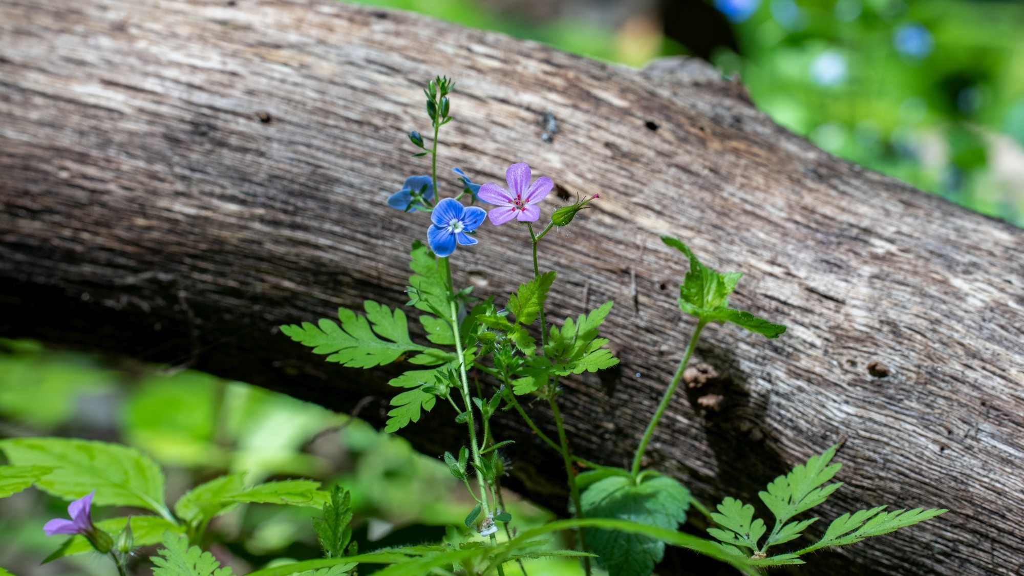 Lato na prowincji - zdjęcie 16