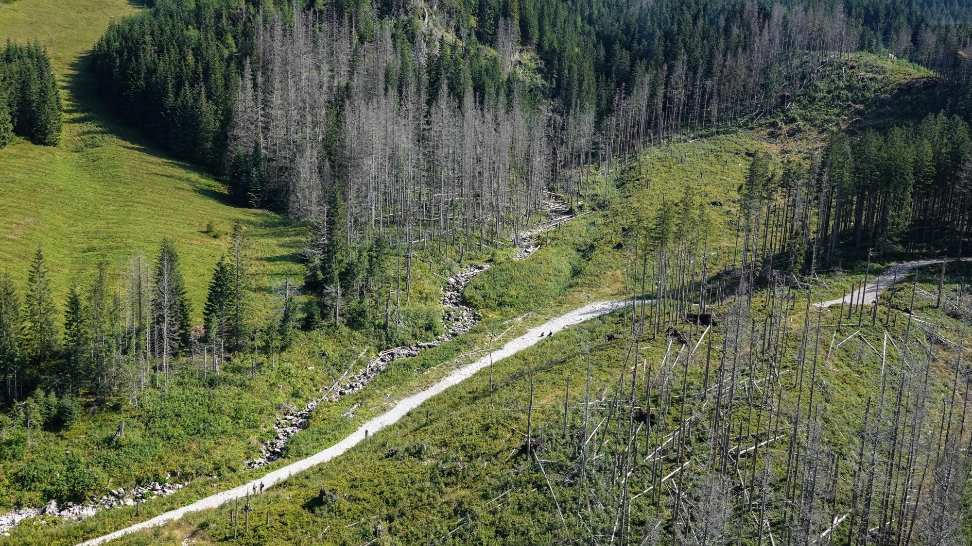Piękno Tatr tuż przed opadami śniegu - zdjęcie 13