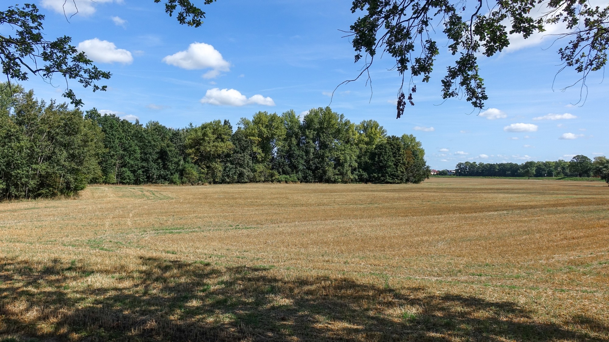 Wrzesień w obiektywie - zdjęcie 31