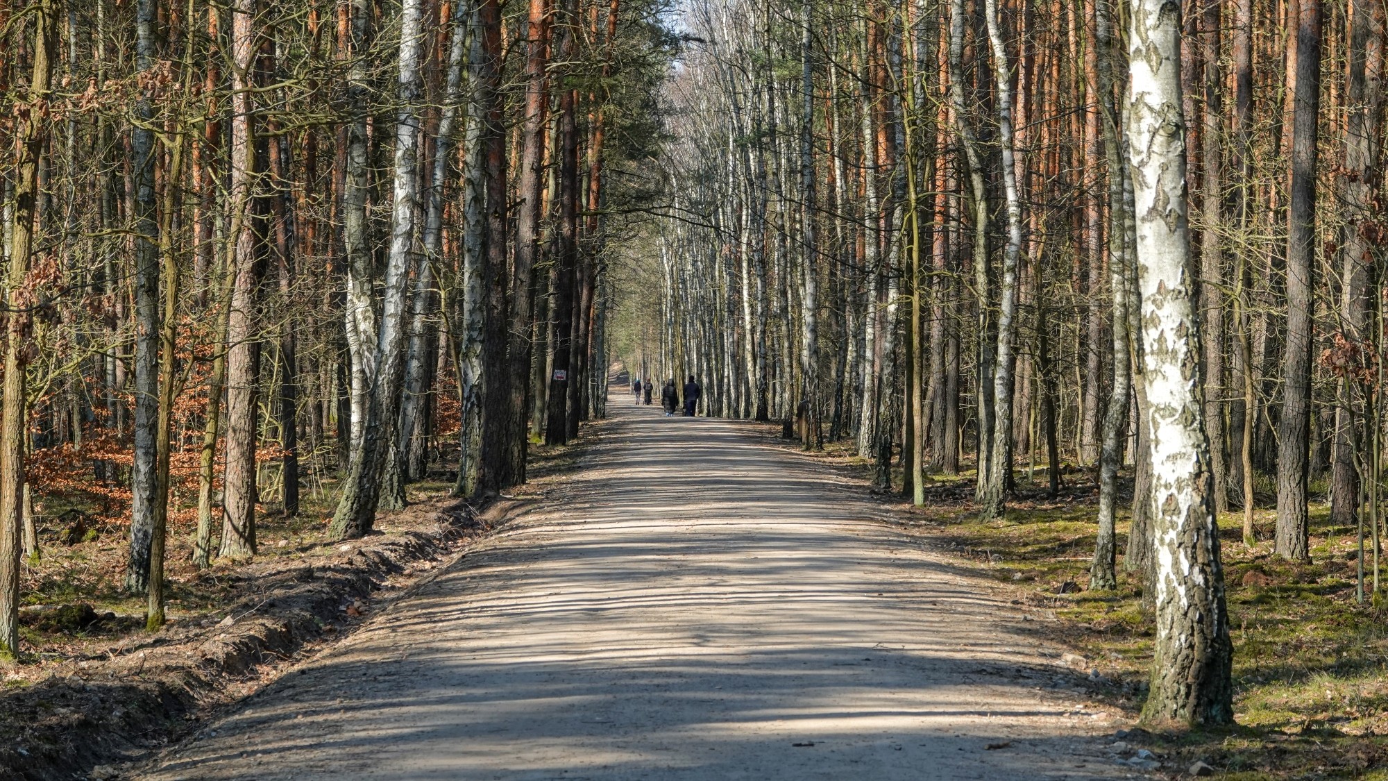 Marzec w obiektywie - zdjęcie 59