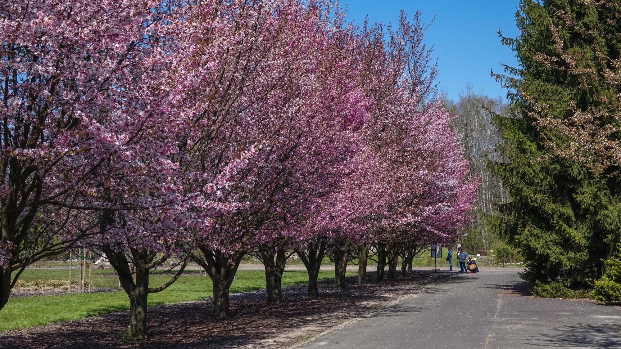 W maju jak w raju - zdjęcie 20